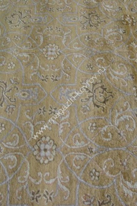 Rajjab Ali Fln 07/camel/2.44*3.38
